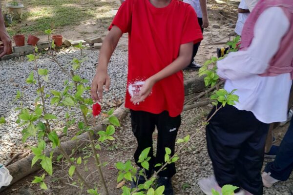 Sri Showme Primary School Trip to Serambi Niaga, UMT!  .