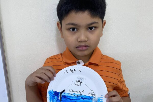 The Life Cycle of a Mosquito