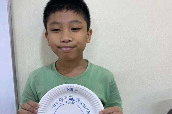 The Life Cycle of a Mosquito