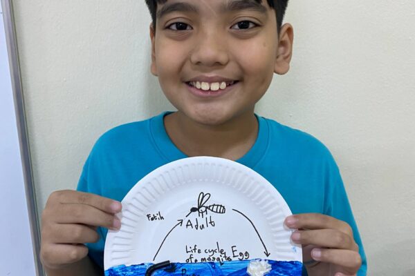 The Life Cycle of a Mosquito