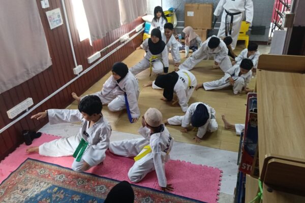 Showme Optional Class: Taekwondo Session
