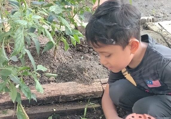English Garden Diary: Growing Language Skills Through Hands-On Learning